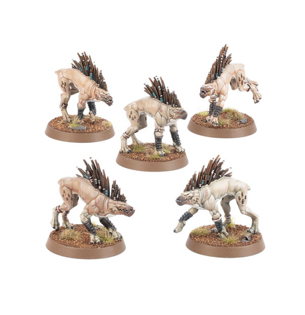 Warhammer 40.000 T'au Empire: Kroot Hounds