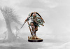 Conquest: Nords Shield Biter
