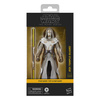 Star Wars: The Clone Wars Black Series Jedi Temple Guard