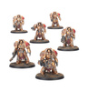 Adeptus Custodes / Legio Custodes: Aquilon Terminator Sodality