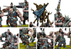 Conquest: Nords Raiders