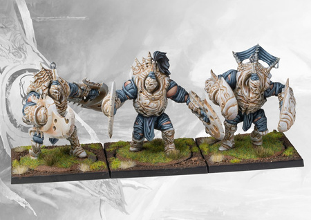 Conquest: Spires Brute Drones
