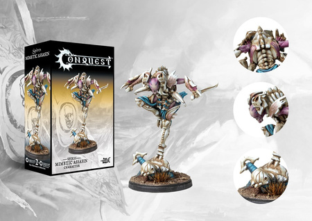 Conquest: Spires Mimetic Assassin