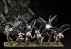 Conquest: Spires Stryx