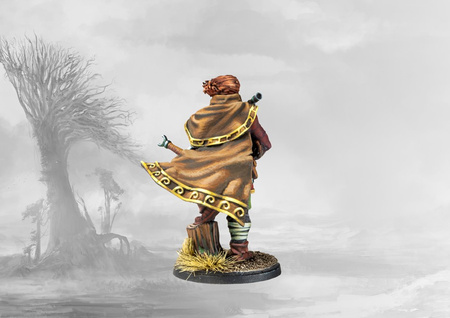 Conquest: Nords Skald